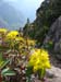 DSC00890